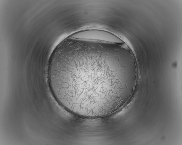 X0000089910997200707271710