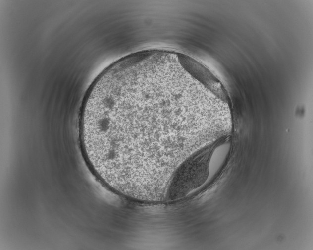 X0000089910999200707271710