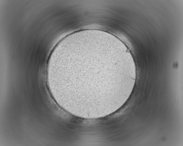 X0000089911000200707271710