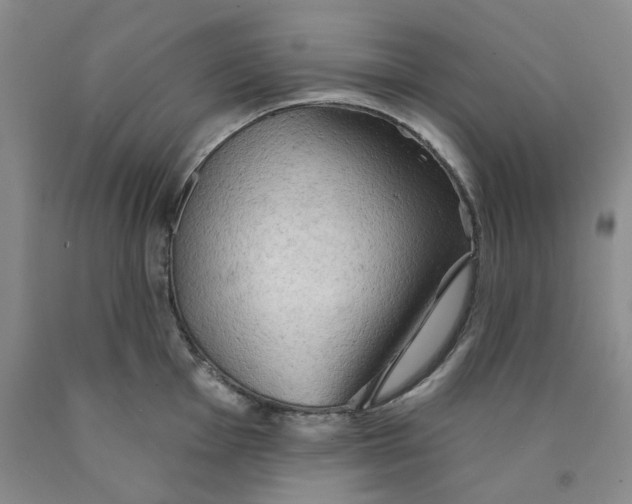 X0000089911001200707271710