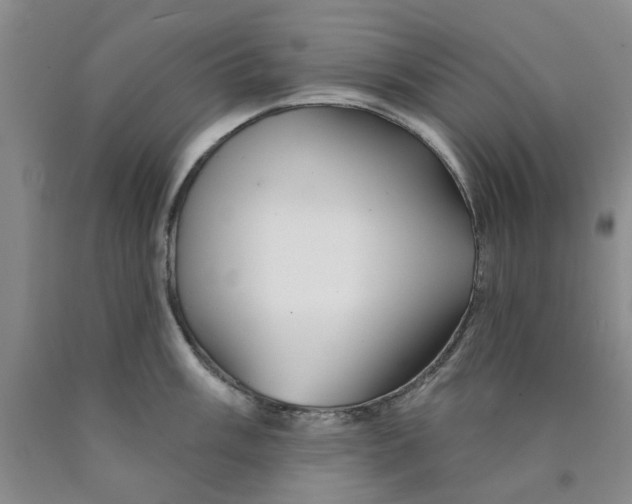 X0000089911003200707271710