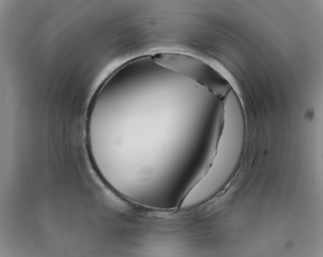 X0000089911005200707271710