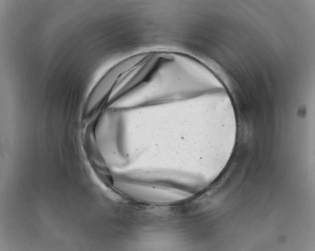 X0000089911006200707271710