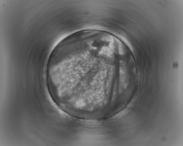 X0000089911007200707271710