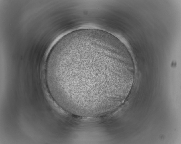 X0000089911008200707271710