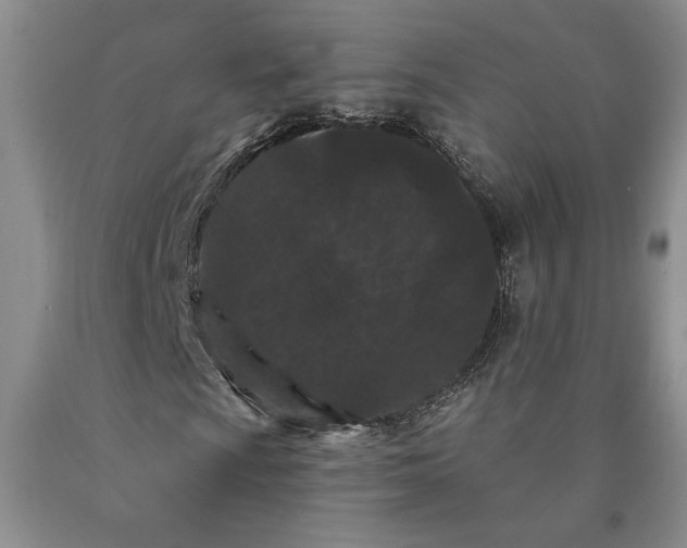 X0000089911009200707271710