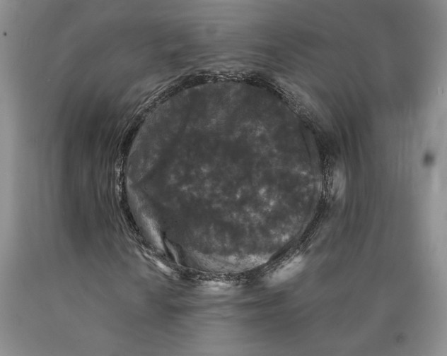 X0000089911010200707271710