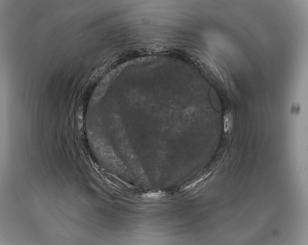 X0000089911011200707271710