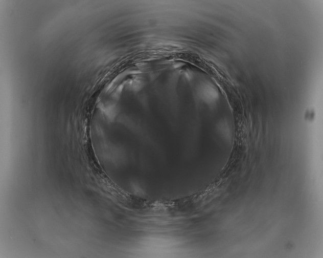 X0000089911013200707271710