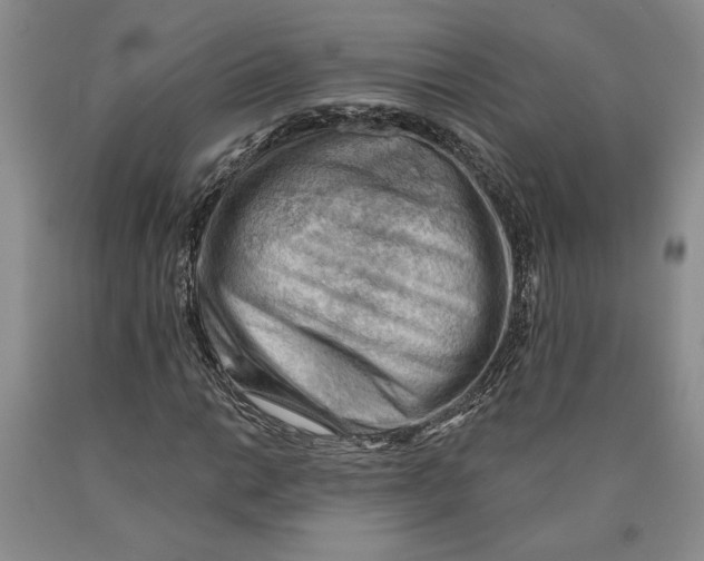 X0000089911014200707271710