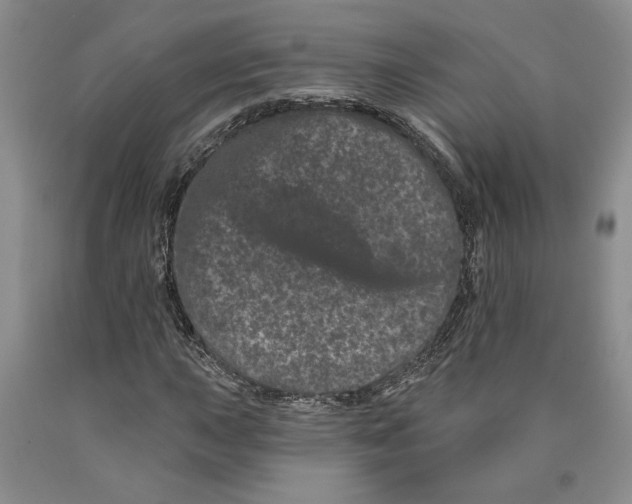 X0000089911015200707271710