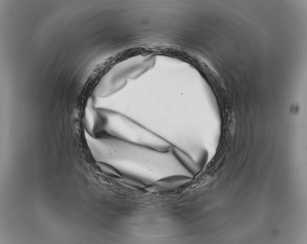 X0000089911016200707271710