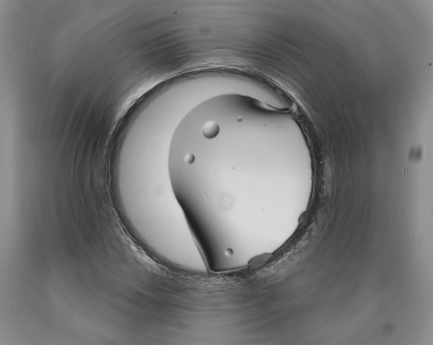 X0000089911018200707271710