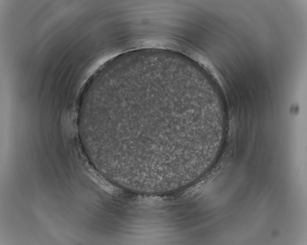 X0000089911019200707271710