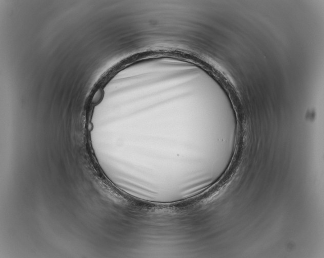 X0000089911021200707271710