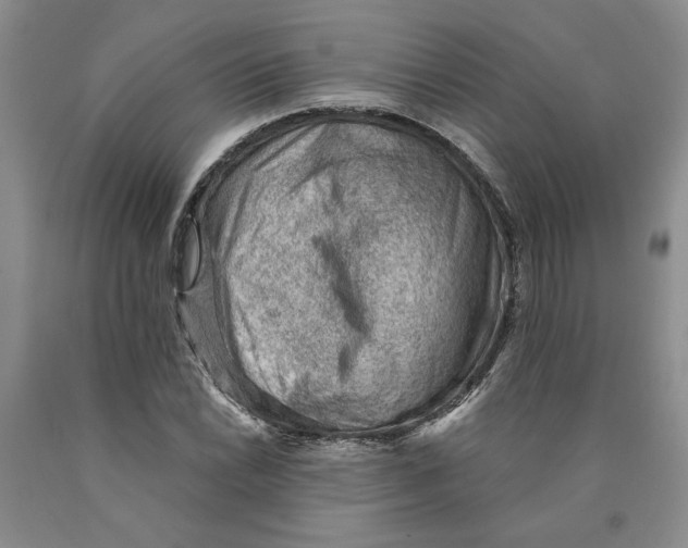 X0000089911022200707271710