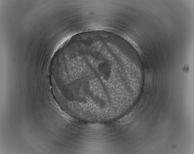 X0000089911023200707271710