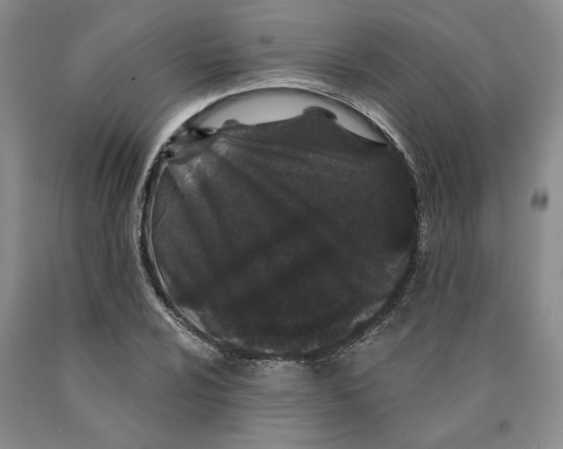 X0000089911024200707271710