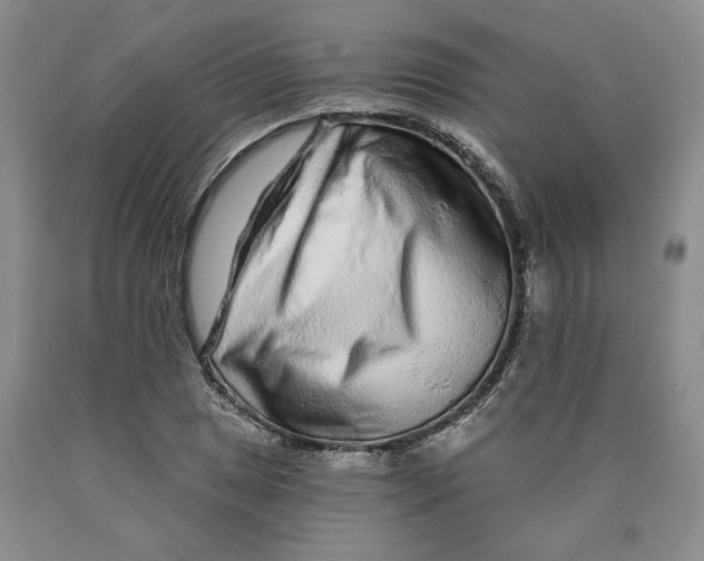 X0000089911025200707271710