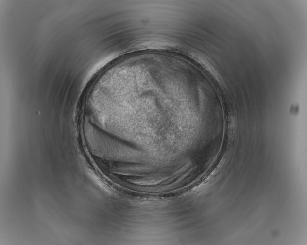 X0000089911026200707271710