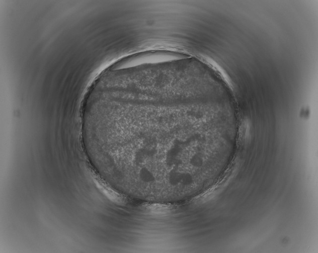 X0000089911027200707271710