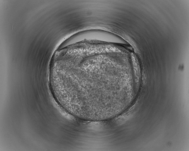 X0000089911028200707271710