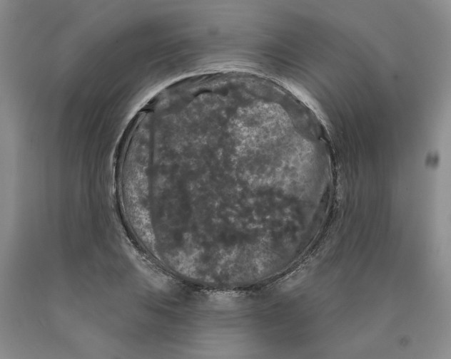 X0000089911031200707271710