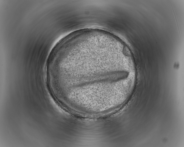 X0000089911032200707271710