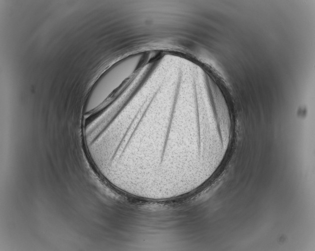 X0000089911033200707271710