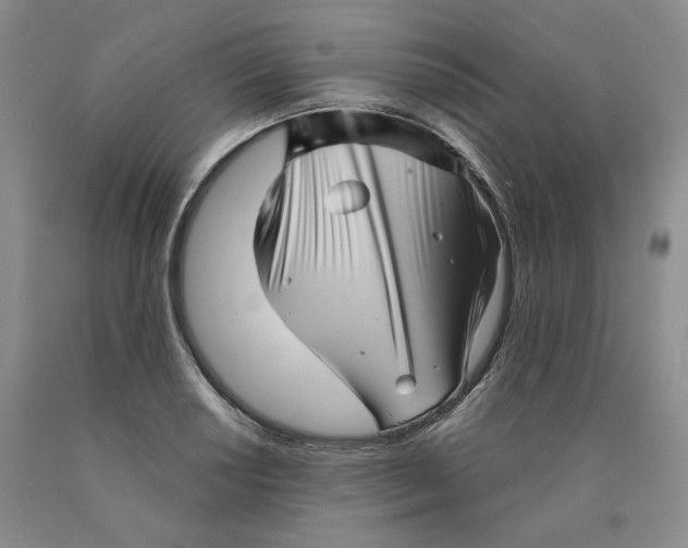 X0000089911034200707271710