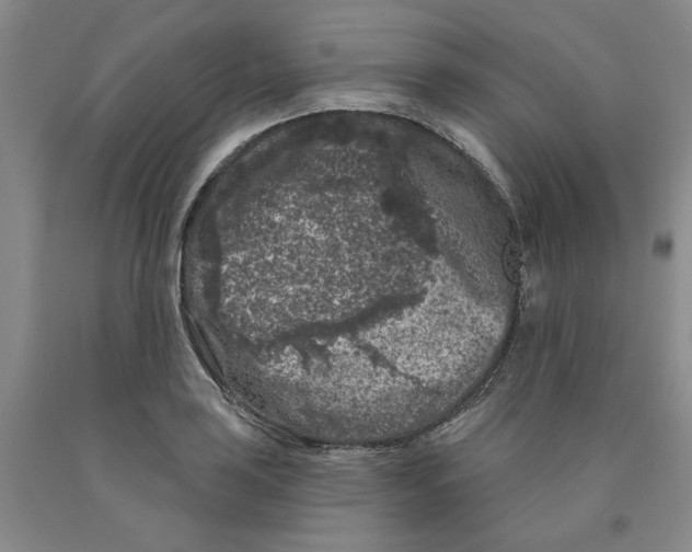 X0000089911035200707271710