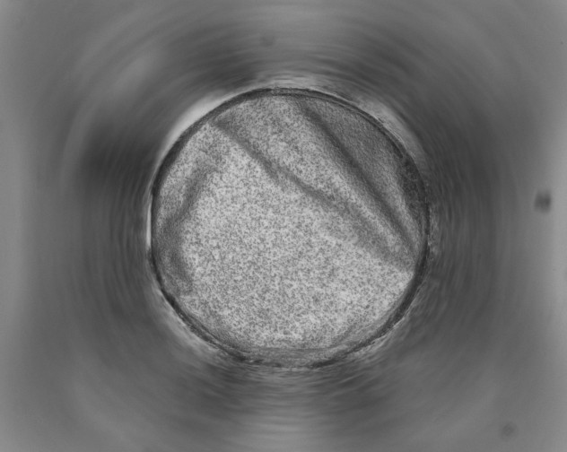 X0000089911036200707271710