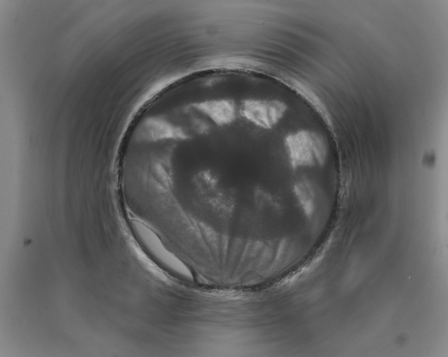 X0000089911037200707271710