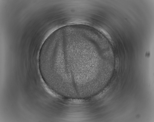 X0000089911039200707271710