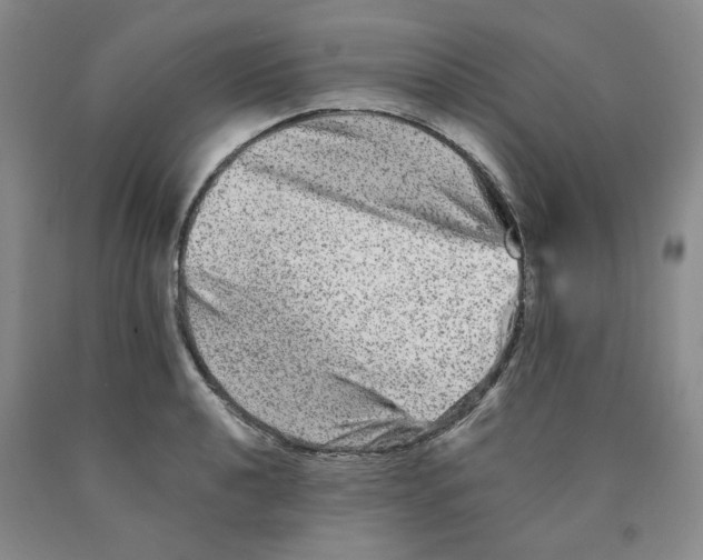 X0000089911040200707271710