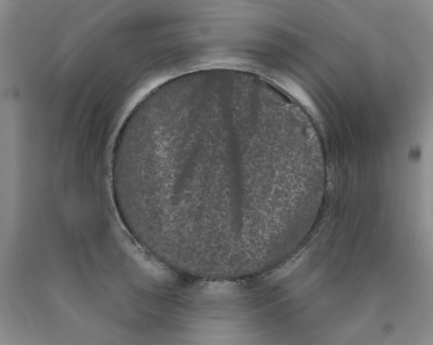 X0000089911043200707271710