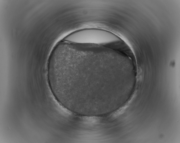 X0000089911045200707271710