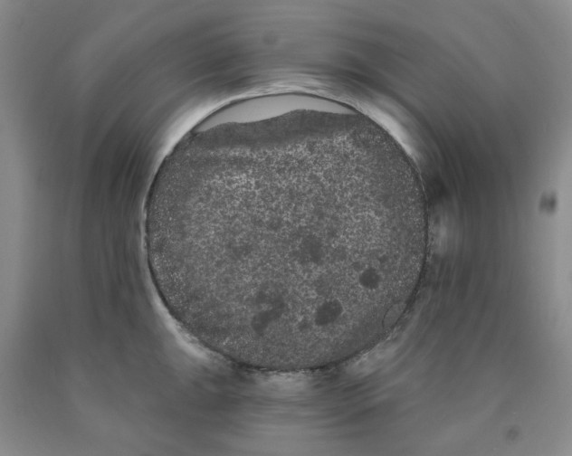 X0000089911047200707271710