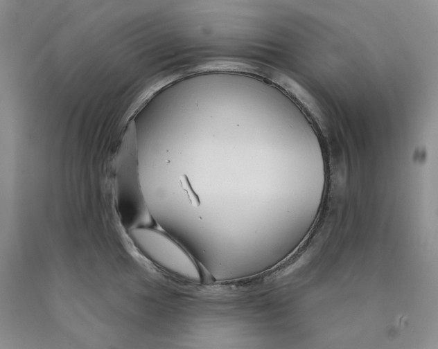 X0000089911049200707271710