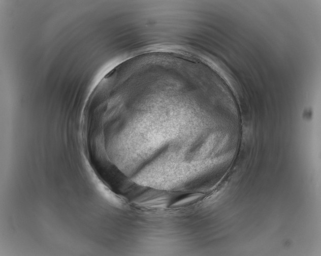 X0000089911050200707271710