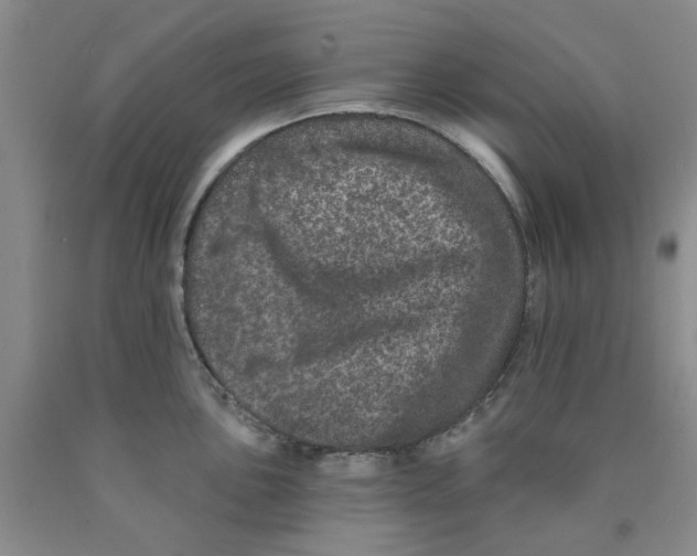 X0000089911051200707271710