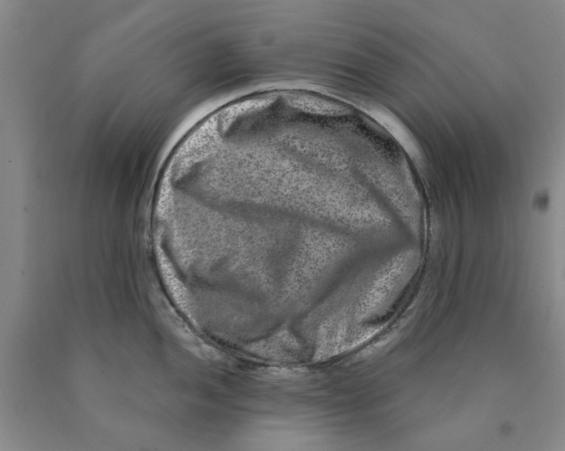 X0000089911052200707271710