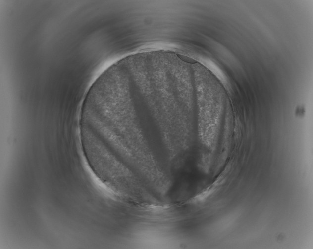 X0000089911055200707271710