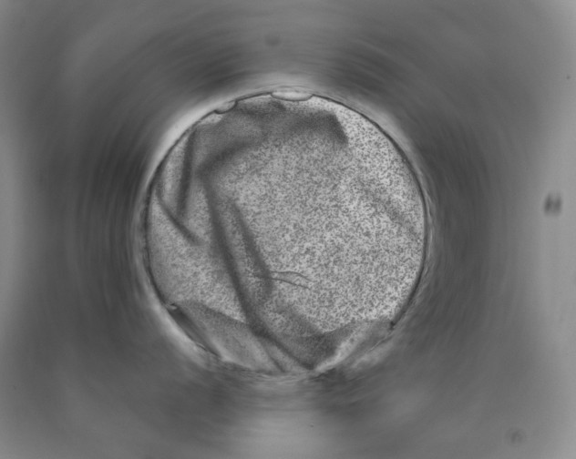 X0000089911056200707271710