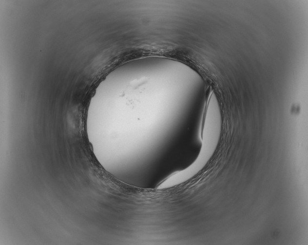 X0000089911058200707271710