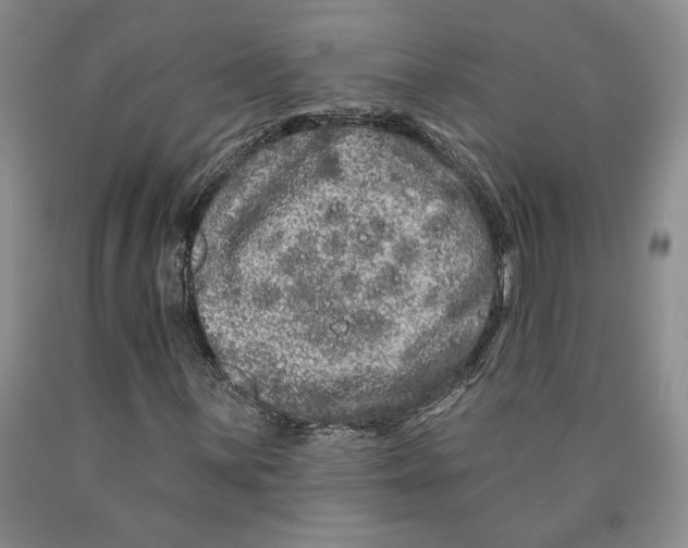 X0000089911059200707271710