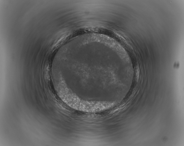 X0000089911060200707271710