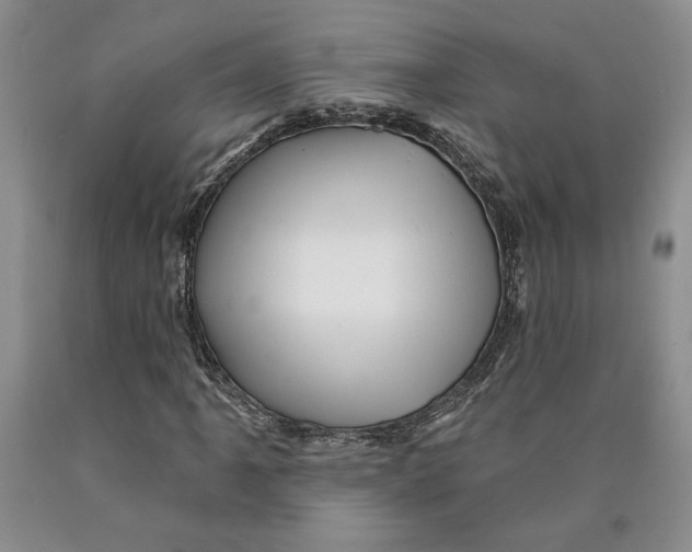 X0000089911061200707271710