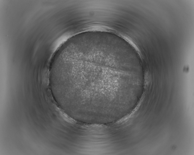 X0000089911067200707271710