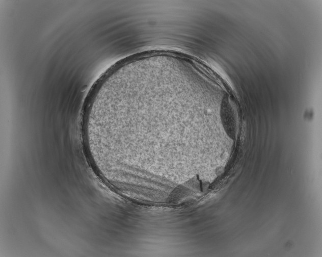 X0000089911068200707271710